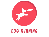 Dog Running Services